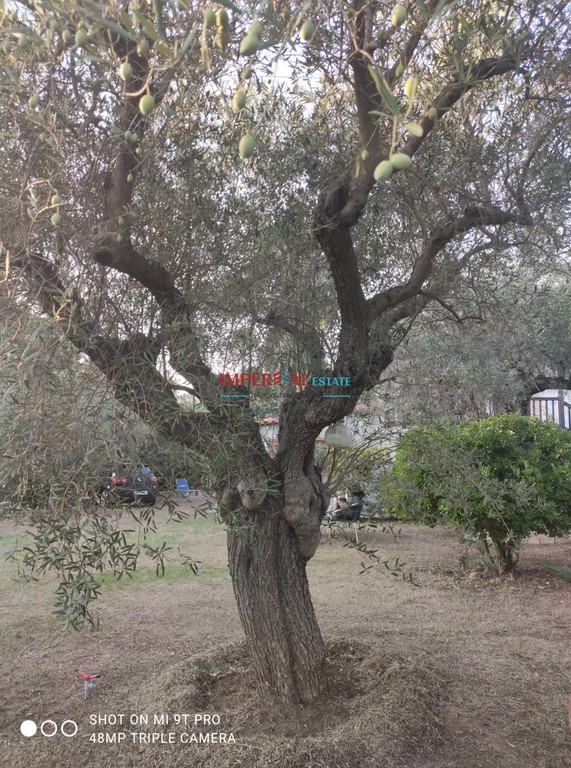 Μονοκατοικία 106 τ.μ. πρός πώληση, Χαλκιδική, Σιθωνία