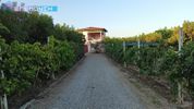 Αγροτεμάχια 14.000τ.μ. για πώληση-Βέροια