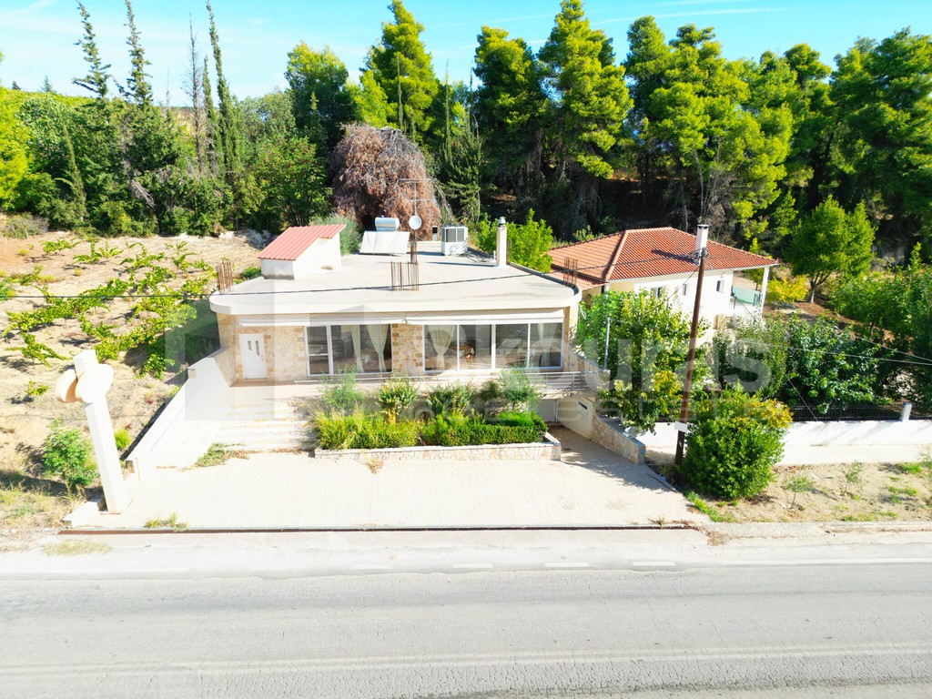 Κατάστημα 300 τ.μ. προς πώληση, Σούλι Σικυώνας