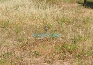Οικόπεδο 507 τ.μ. για πώληση, Αττική - Υπόλοιπο, Πικέρμι-thumb-5