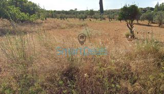 Οικόπεδο 507 τ.μ. για πώληση, Αττική - Υπόλοιπο, Πικέρμι-thumb-6