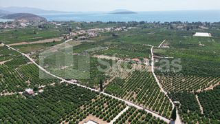 Αγροτεμάχια 25.000 τ.μ. για πώληση, Αργολίδα, Ασίνη-thumb-5
