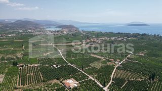 Αγροτεμάχια 25.000 τ.μ. για πώληση, Αργολίδα, Ασίνη-thumb-8