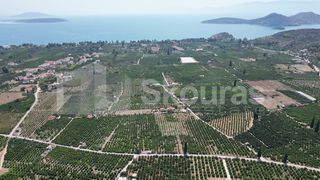 Αγροτεμάχια 25.000 τ.μ. για πώληση, Αργολίδα, Ασίνη-thumb-11