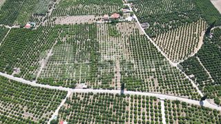 Αγροτεμάχια 25.000 τ.μ. για πώληση, Αργολίδα, Ασίνη-thumb-13