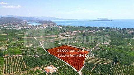 Αγροτεμάχια 25.000 τ.μ. για πώληση