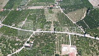 Αγροτεμάχια 25.000 τ.μ. για πώληση, Αργολίδα, Ασίνη-thumb-12