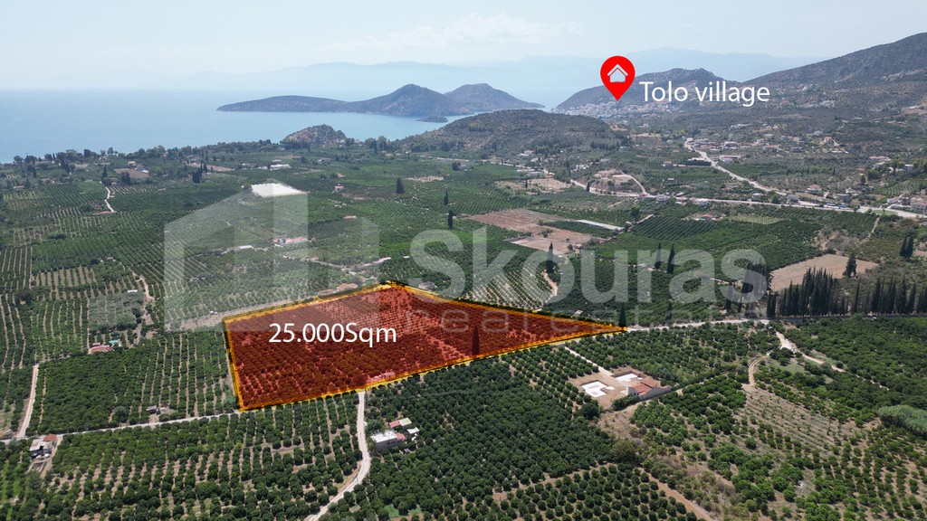 Αγροτεμάχια 25.000 τ.μ. προς πώληση, Καλλιθέα Ασίνης