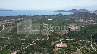 Αγροτεμάχια 25.000 τ.μ. για πώληση, Αργολίδα, Ασίνη-thumb-10