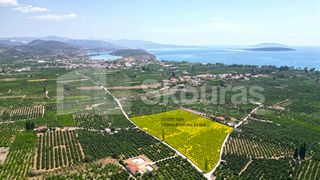 Αγροτεμάχια 25.000 τ.μ. για πώληση, Αργολίδα, Ασίνη-thumb-2