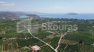 Αγροτεμάχια 25.000 τ.μ. για πώληση, Αργολίδα, Ασίνη-thumb-7