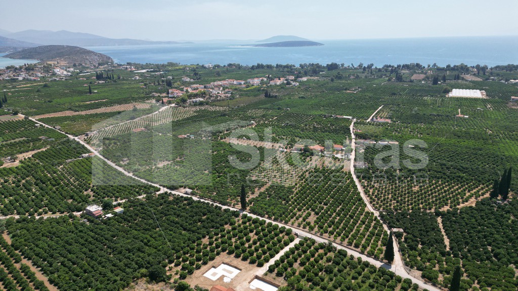 Αγροτεμάχια 25.000 τ.μ. προς πώληση, Καλλιθέα Ασίνης