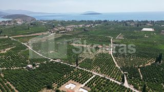 Αγροτεμάχια 25.000 τ.μ. για πώληση, Αργολίδα, Ασίνη-thumb-4