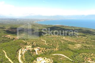 Οικόπεδο 1.165 τ.μ. για πώληση, Μεσσηνία, Πεταλίδι-thumb-15