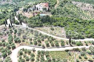 Οικόπεδο 1.165 τ.μ. για πώληση, Μεσσηνία, Πεταλίδι-thumb-13