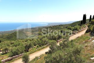 Οικόπεδο 1.165 τ.μ. για πώληση, Μεσσηνία, Πεταλίδι-thumb-11
