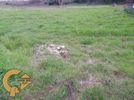 Land plot 400sqm for sale-Ioannina