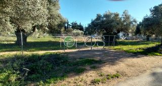 Οικόπεδο 616,63 τ.μ. προς πώληση
