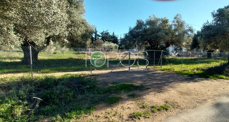 Οικόπεδο 616,63 τ.μ. για πώληση, Αθήνα - Βόρεια Προάστια, Μαρούσι