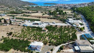 Αγροτεμάχια 16.000 τ.μ. για πώληση, Αργολίδα, Ερμιόνη-thumb-1
