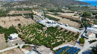 Αγροτεμάχια 16.000 τ.μ. για πώληση, Αργολίδα, Ερμιόνη-thumb-4