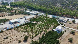 Αγροτεμάχια 16.000 τ.μ. για πώληση, Αργολίδα, Ερμιόνη-thumb-7