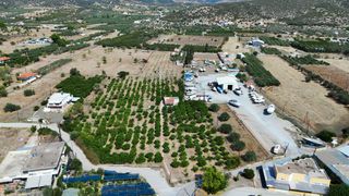 Αγροτεμάχια 16.000 τ.μ. για πώληση, Αργολίδα, Ερμιόνη-thumb-9