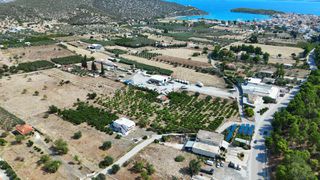 Αγροτεμάχια 16.000 τ.μ. για πώληση, Αργολίδα, Ερμιόνη-thumb-3