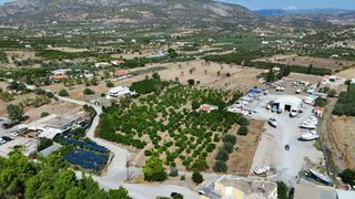 Αγροτεμάχια 16.000 τ.μ. για πώληση, Αργολίδα, Ερμιόνη-thumb-8
