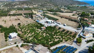 Αγροτεμάχια 16.000 τ.μ. για πώληση, Αργολίδα, Ερμιόνη-thumb-2