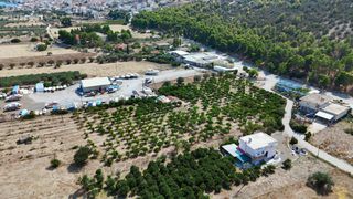 Αγροτεμάχια 16.000 τ.μ. για πώληση, Αργολίδα, Ερμιόνη-thumb-6