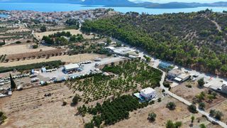 Αγροτεμάχια 16.000 τ.μ. για πώληση, Αργολίδα, Ερμιόνη-thumb-5