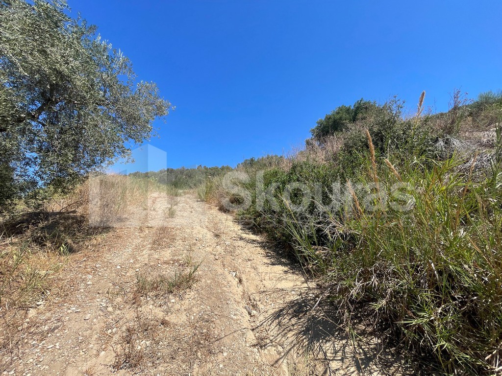 Αγροτεμάχια 4.137,56 τ.μ. προς πώληση, Γιάλοβα
