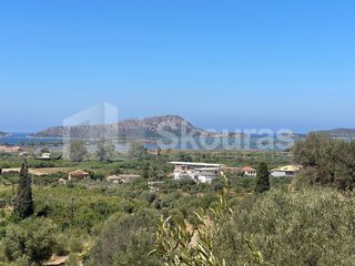 Αγροτεμάχια 4.137,56 τ.μ. για πώληση