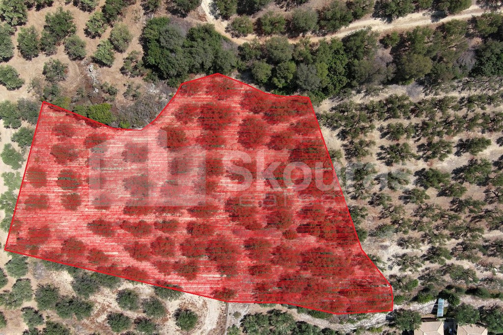 Αγροτεμάχια 4.400,32 τ.μ. προς πώληση, Γιάλοβα
