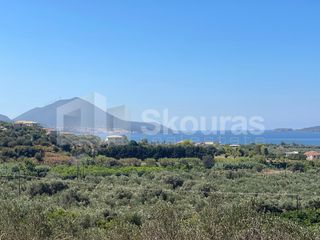 Αγροτεμάχια 4.400,32 τ.μ. για πώληση