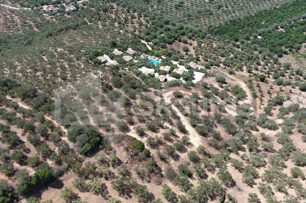 Αγροτεμάχια 4.400,32 τ.μ. προς πώληση, Γιάλοβα