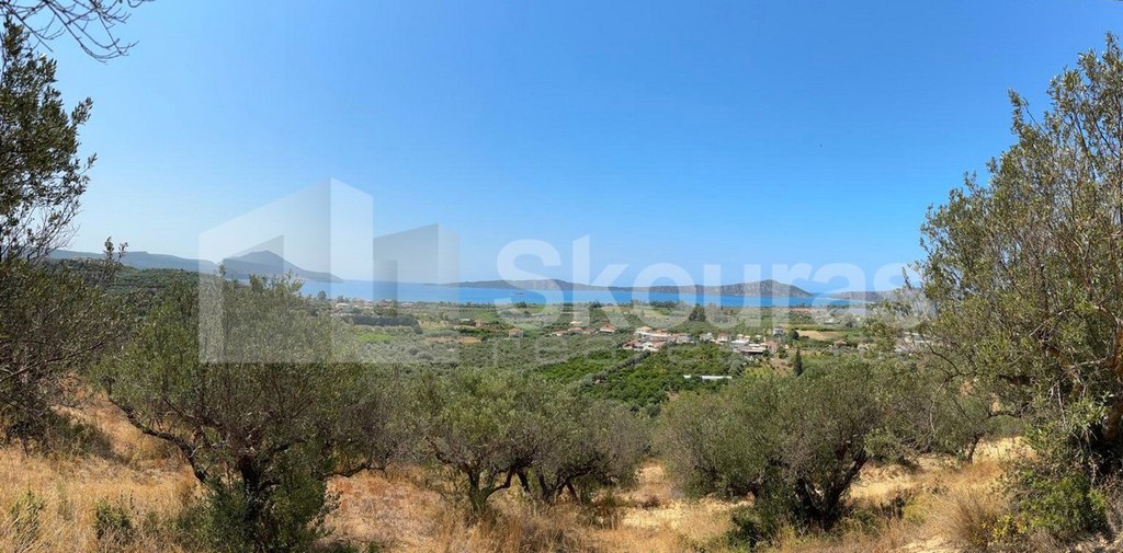 Αγροτεμάχια 4.400,32 τ.μ. προς πώληση, Γιάλοβα