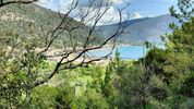 Αγροτεμάχια 2.036τ.μ. για πώληση-Λευκάδα
