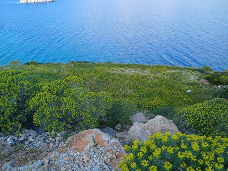 Parcel 78.970sqm for sale-Hydra