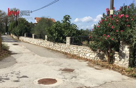 Οικόπεδο 6.805τ.μ. για πώληση-Ερίνεο