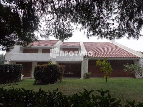 Villa 550 sqm for sale