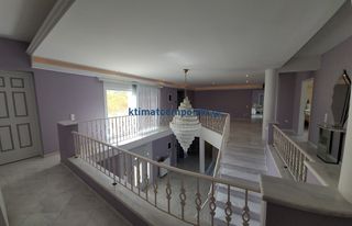 Μονοκατοικία 850 τ.μ. για πώληση, Εύβοια, Ταμύνες-thumb-15