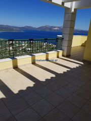 Μονοκατοικία 850 τ.μ. για πώληση, Εύβοια, Ταμύνες-thumb-24