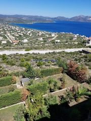 Μονοκατοικία 850 τ.μ. για πώληση, Εύβοια, Ταμύνες-thumb-25