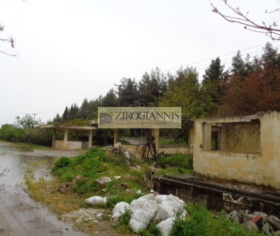 Βιομηχανικός χώρος 24.740 τ.μ. προς πώληση, Θήβα