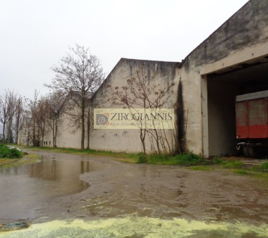 Βιομηχανικός χώρος 24.740 τ.μ. προς πώληση, Θήβα