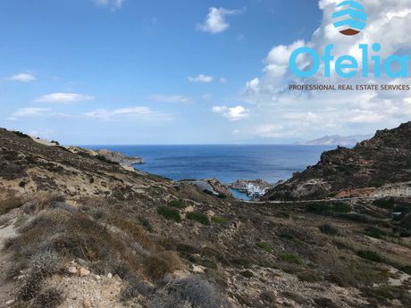 Αγροτεμάχια 6.162 τ.μ. για πώληση