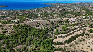 Αγροτεμάχια 24.000 τ.μ. προς πώληση, Βερβερούδα-thumb-9