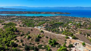Αγροτεμάχια 24.000 τ.μ. προς πώληση, Βερβερούδα-thumb-5